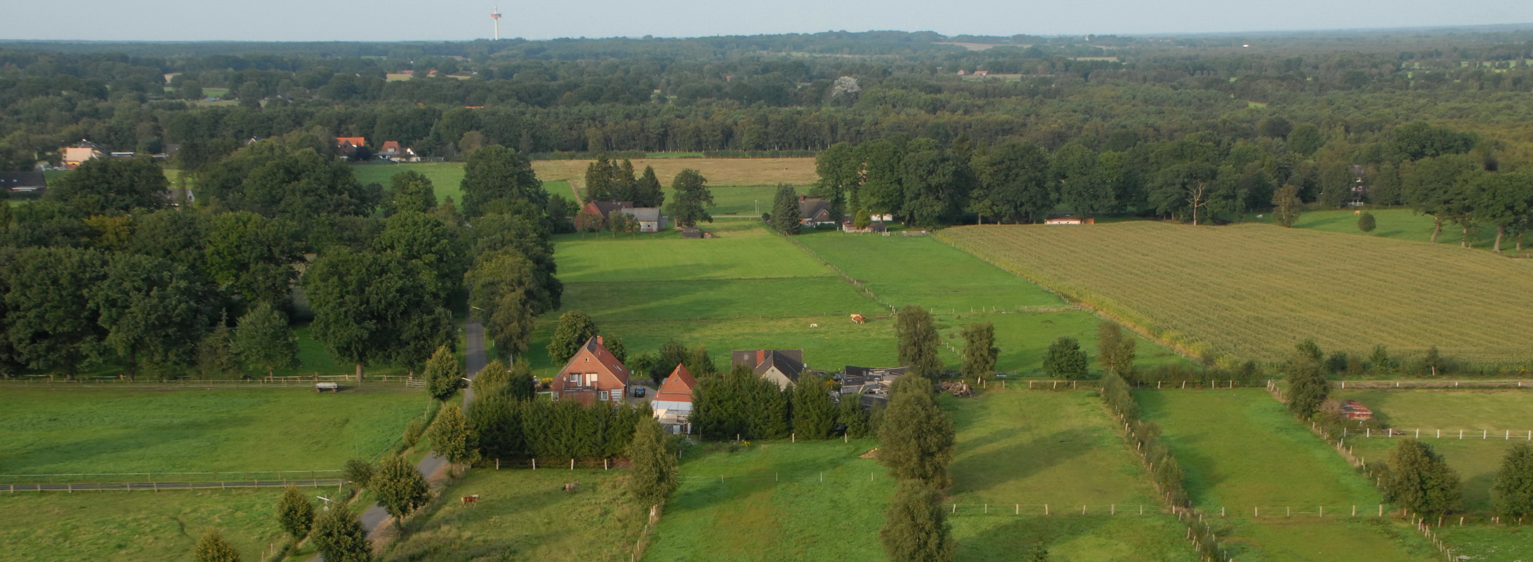 slide 42