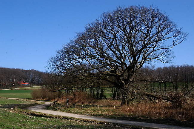 Worpswede · Impression 9
