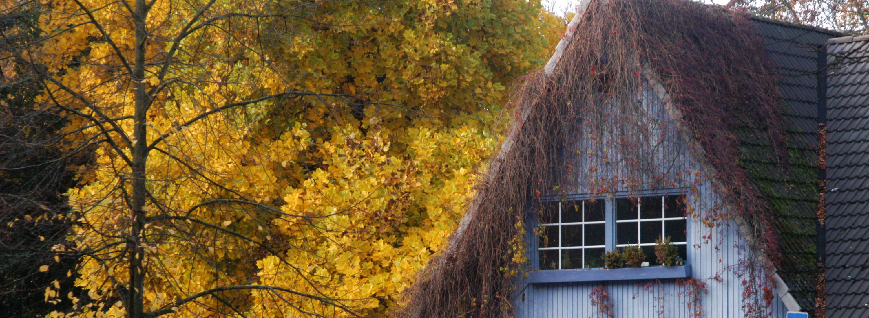 Startseite-Herbst Bild 11