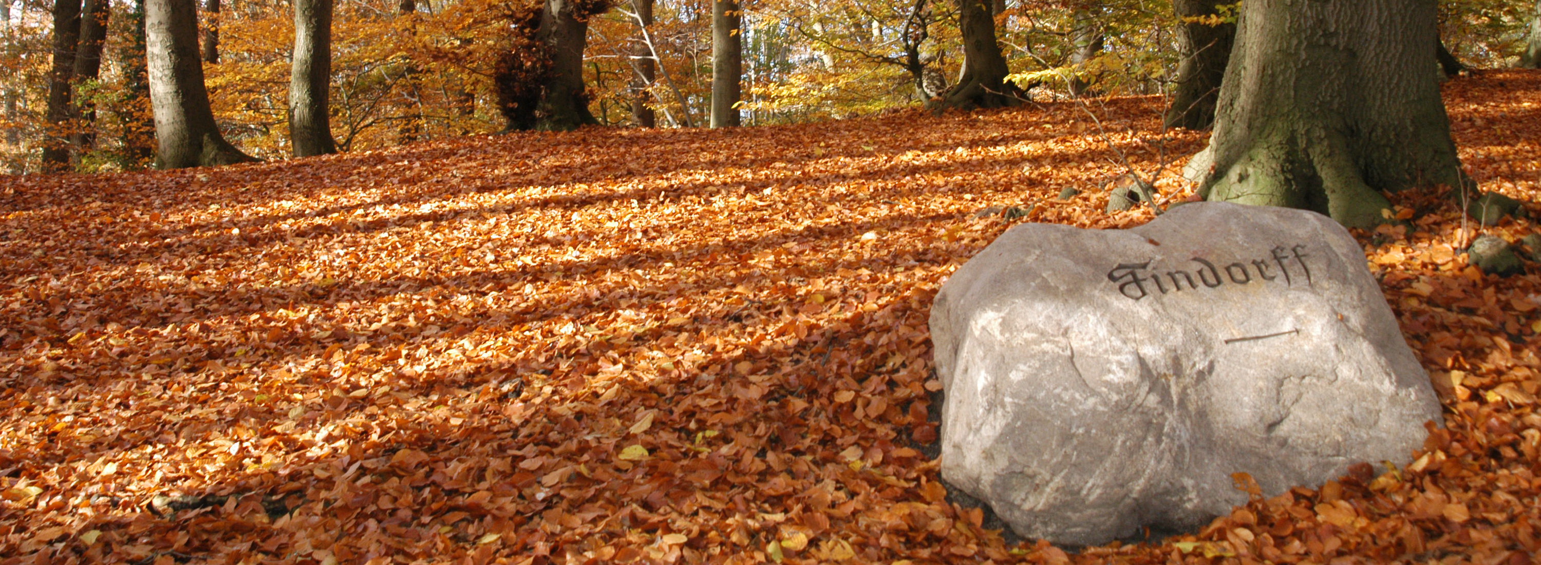 Startseite-Herbst Bild 14