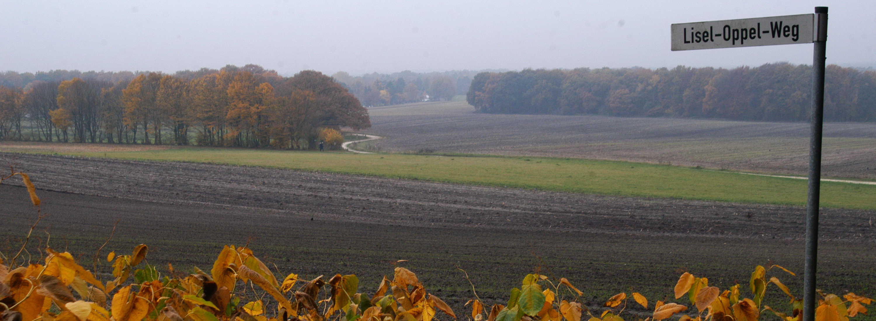 Startseite-Herbst Bild 17