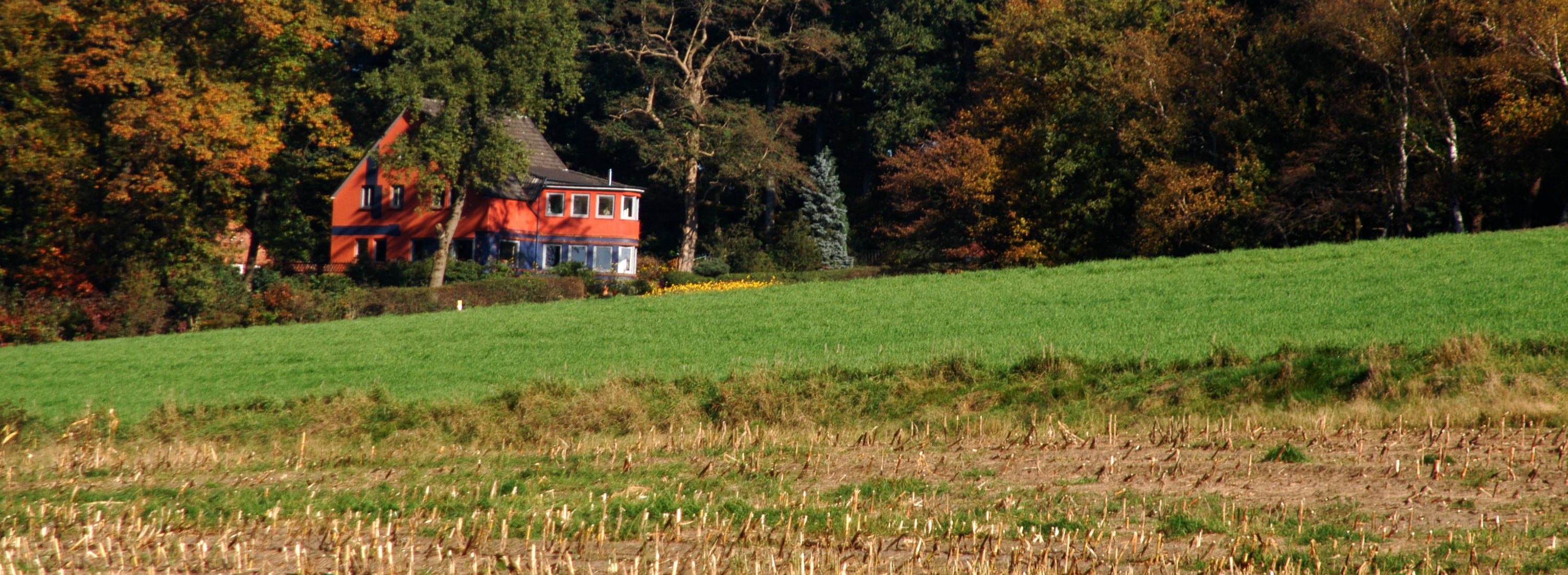 Startseite-Herbst Bild 23