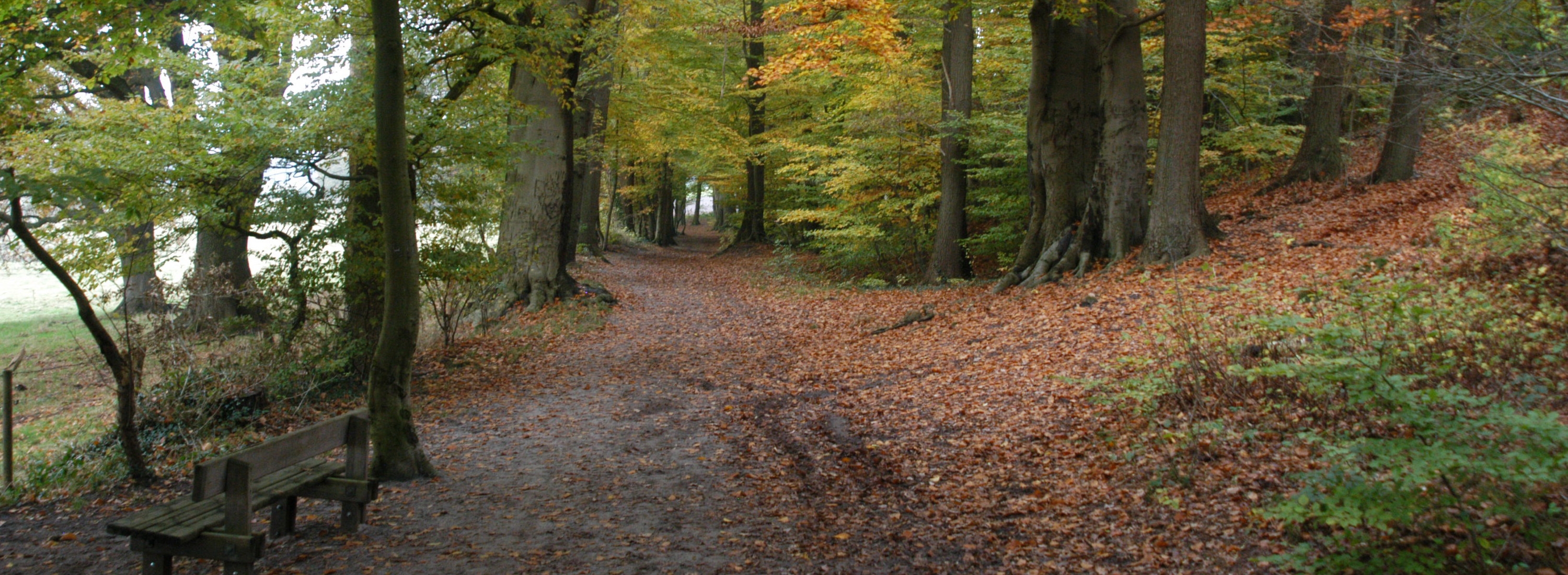 Startseite-Herbst Bild 24