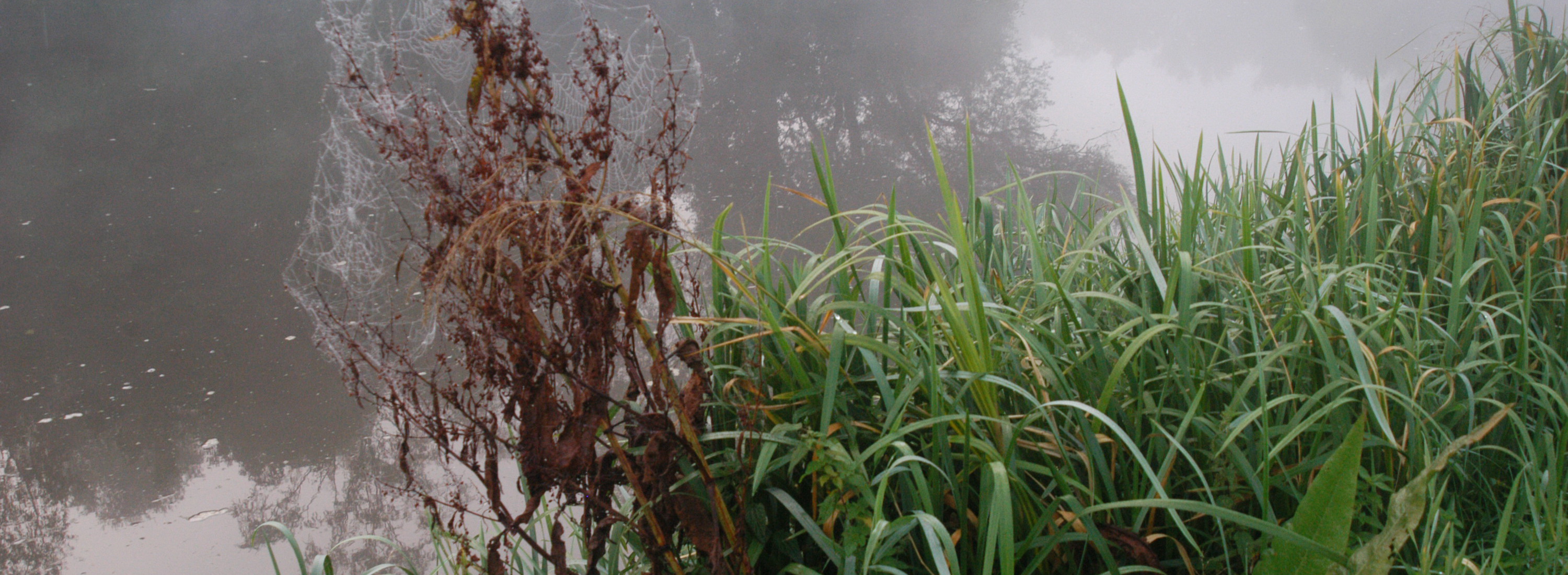 Startseite-Herbst Bild 3
