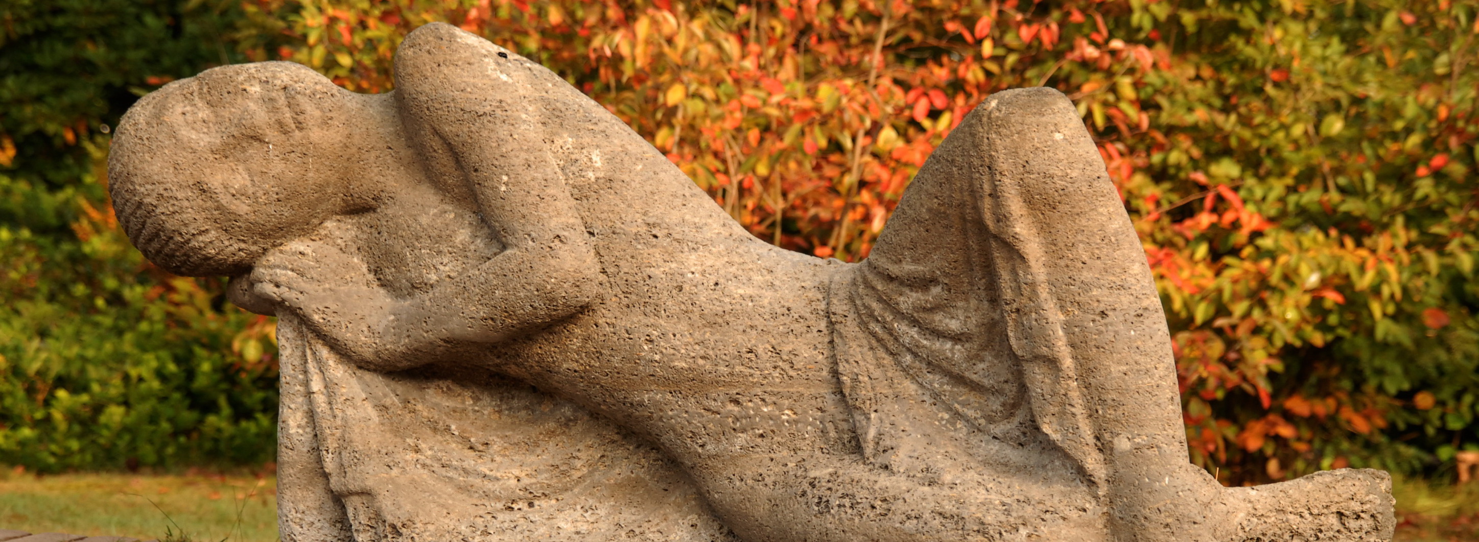 Startseite-Herbst Bild 5